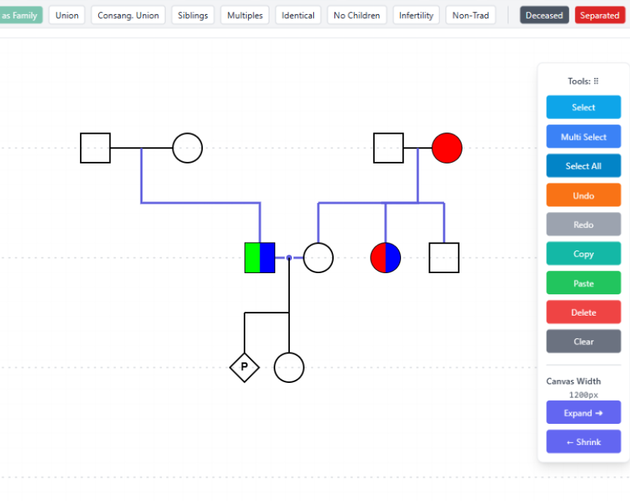 Fast Family Tree thumbnail