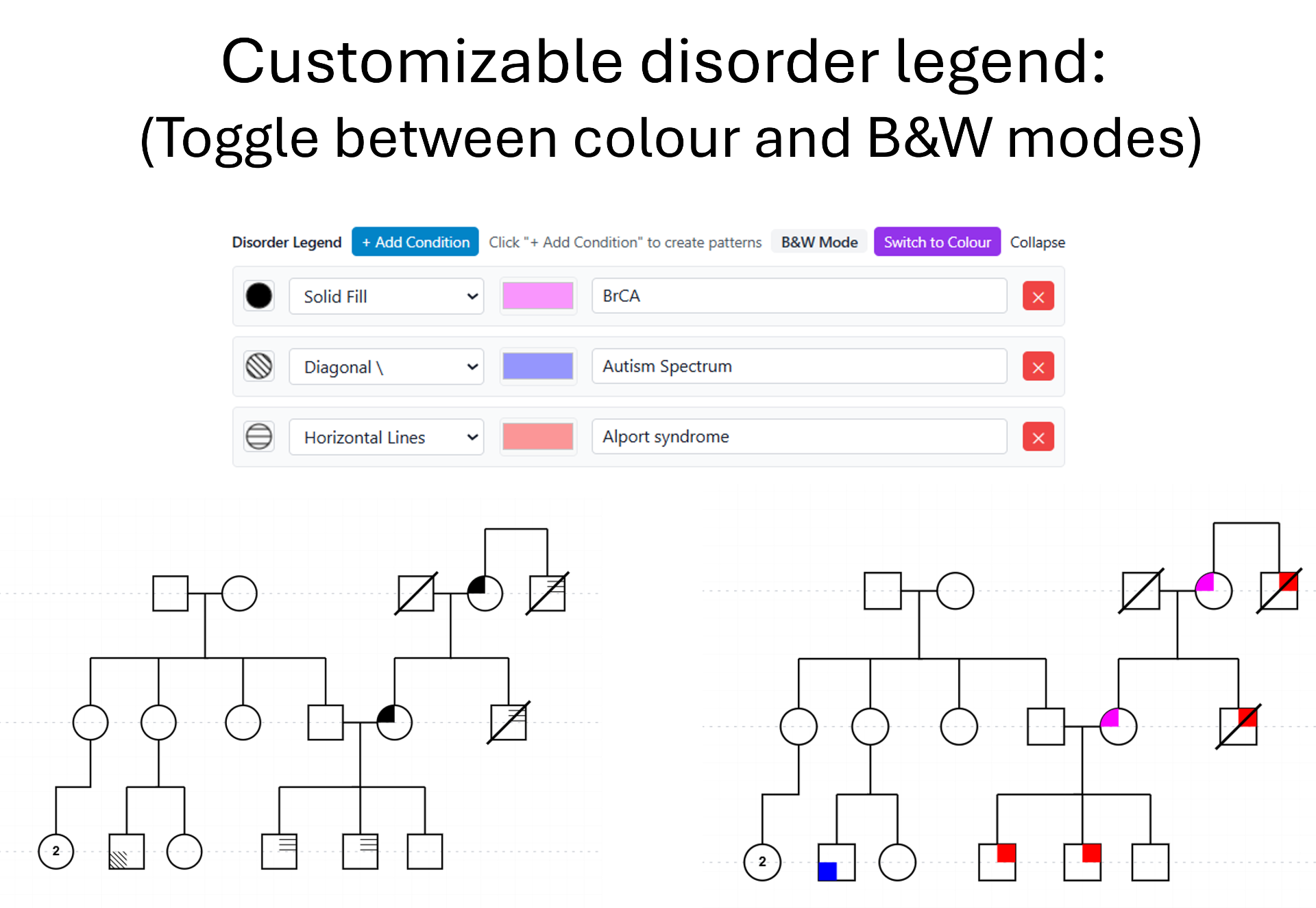 Customizable disorder legend with colour and B&W modes